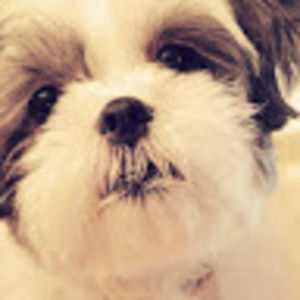 Meet your Posher, Ann